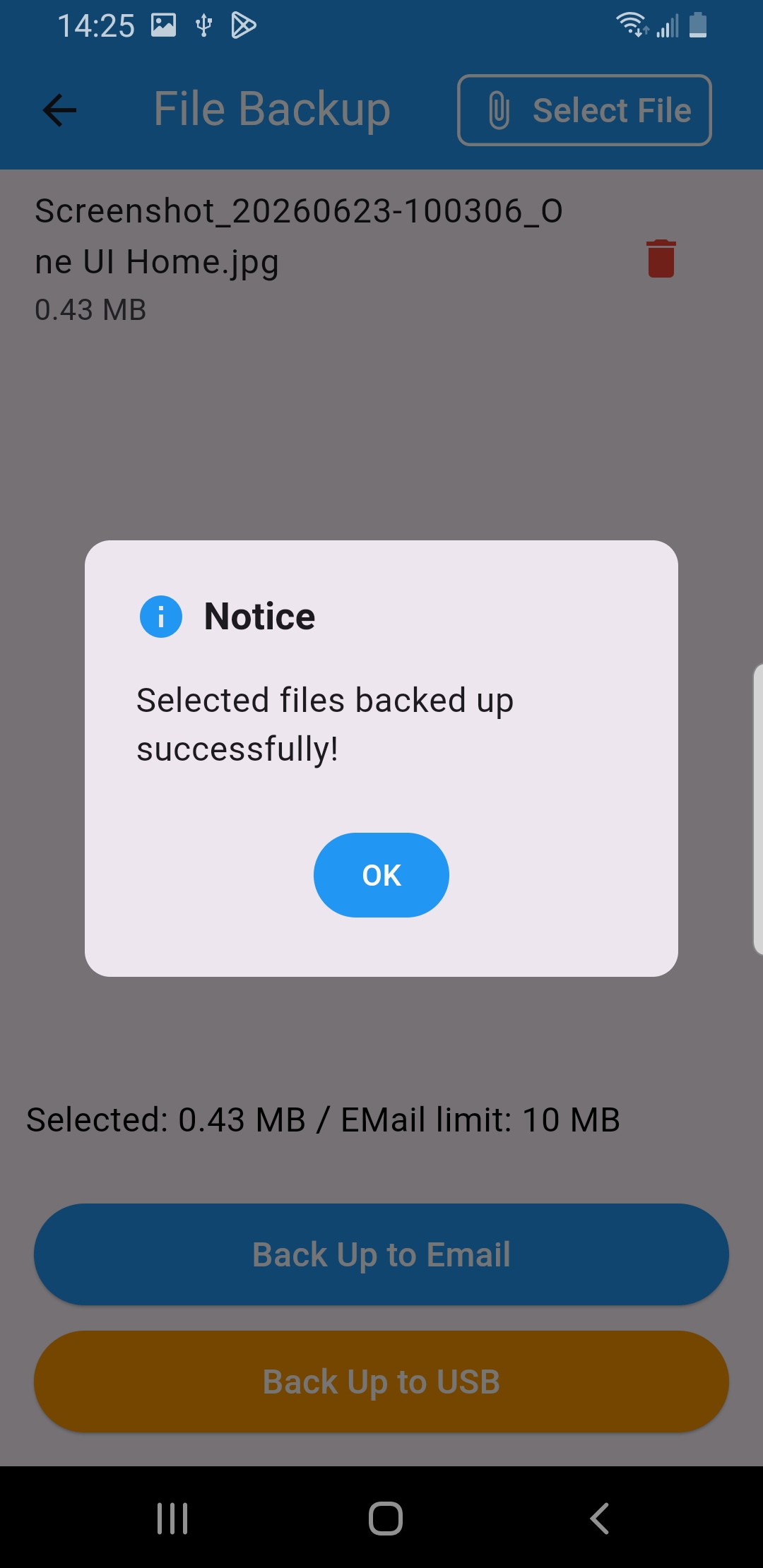 File Backup screen with a file selected to copy to a connected USB drive